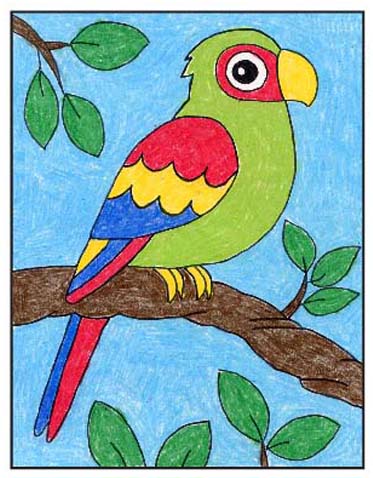 Detailed Parrot Sketch